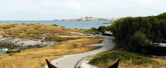 Quel Gargano selvaggio da scoprire a bordo di una sella